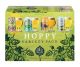 ODELL HOPPY VARIETY PACK 12oz 12PK CANS