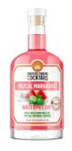 TRUSTED FRIEND MEZCAL WATERMELON MARGARITA .375ml SINGLE BOTTLE