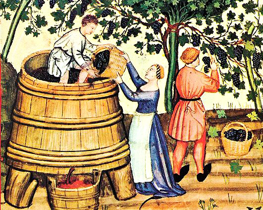 The Human Element In Winemaking
